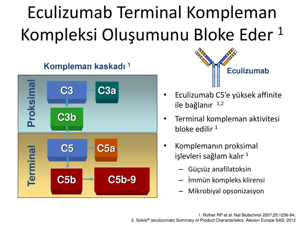 Eculizumab para que sirve